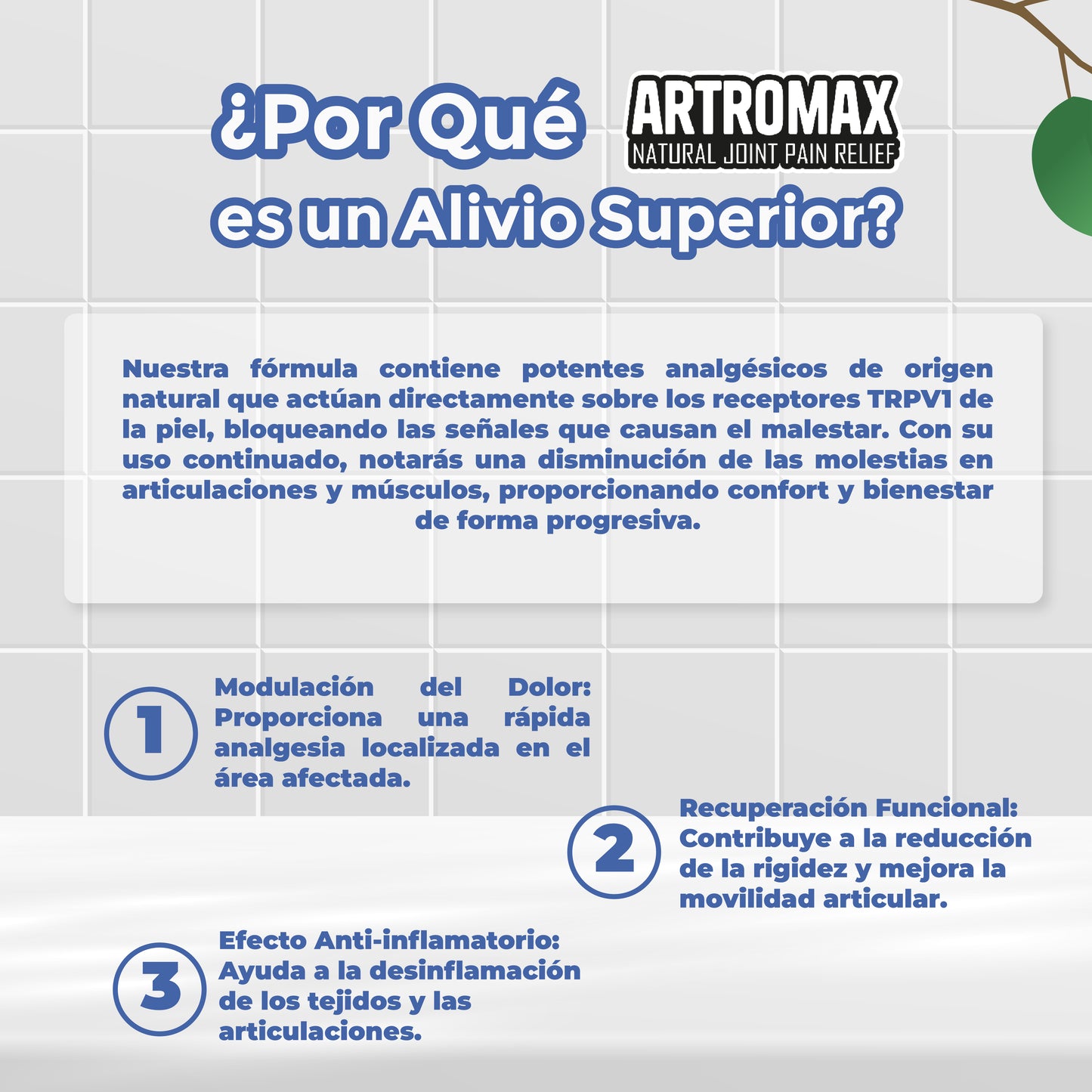ARTROMAX